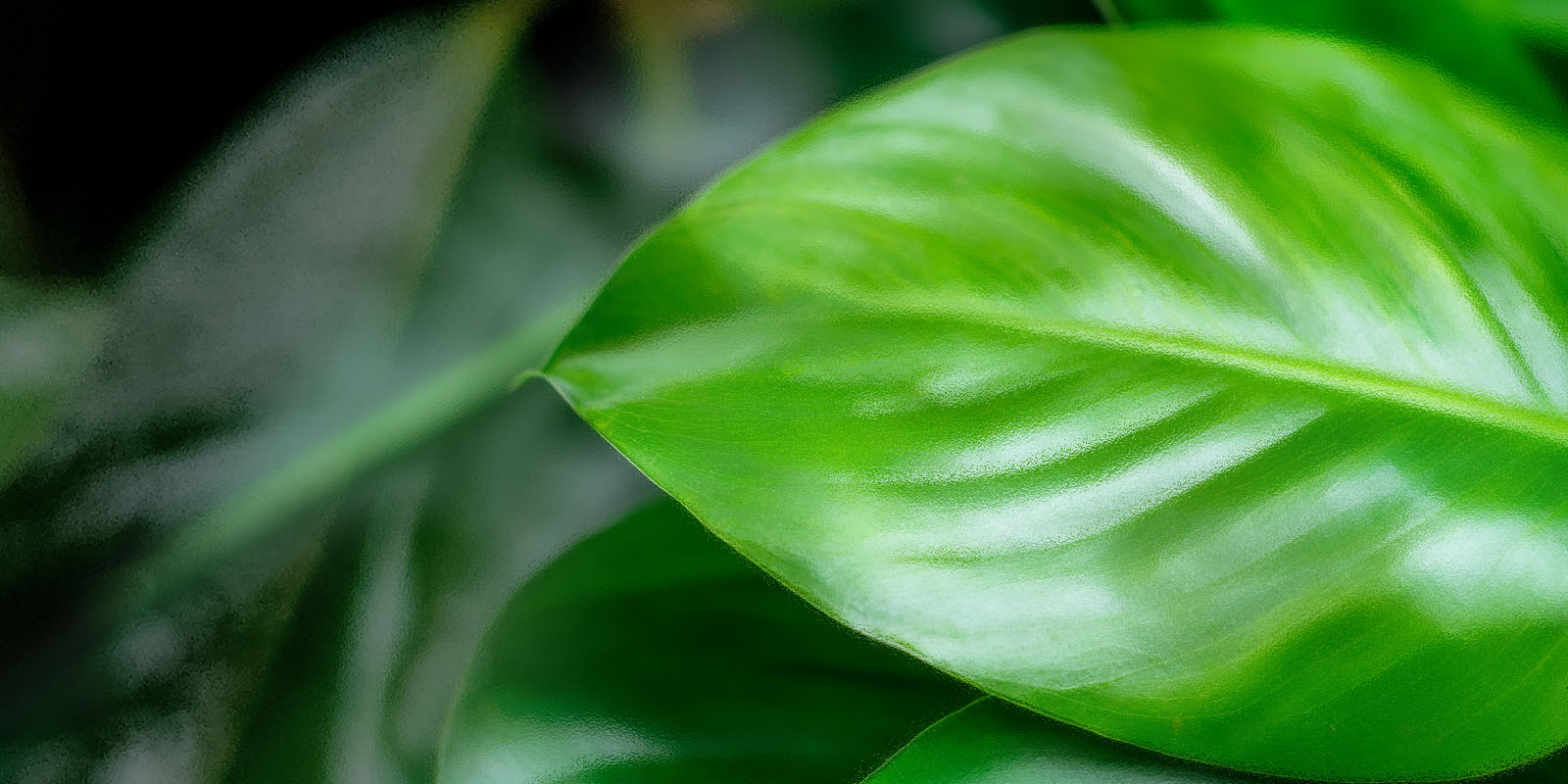 心と身体を解きほぐす、
メンズリラクゼーションを。